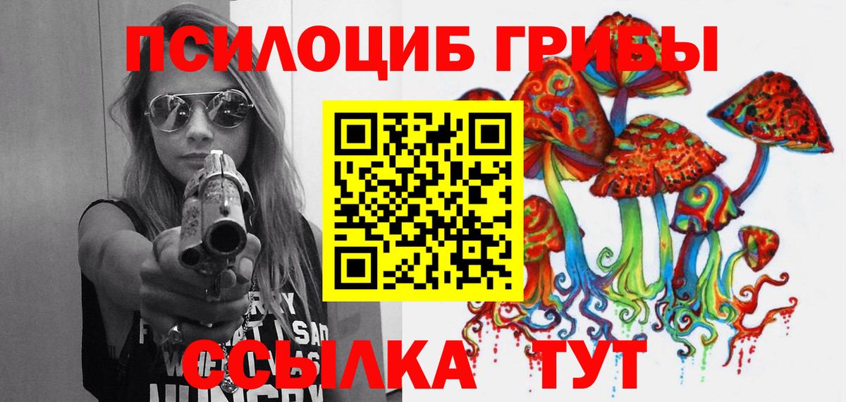Ивантеевка  Галлюциногенные грибы ЛСД  Вход с VPN 