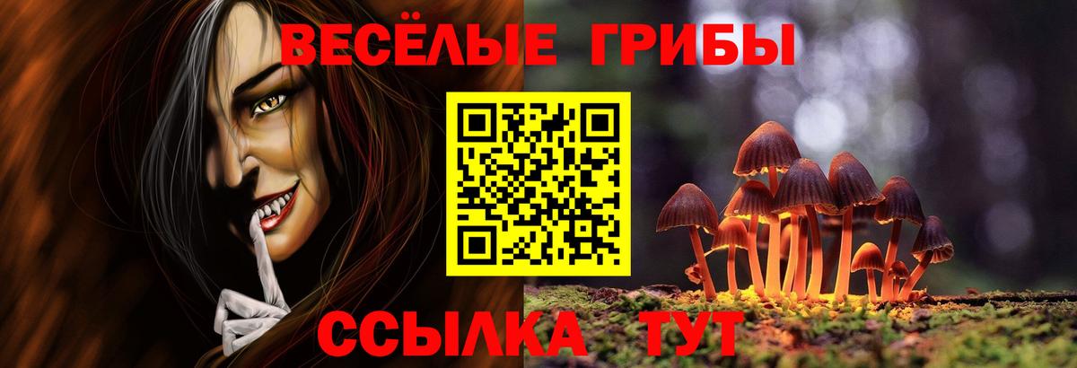 Псилоцибиновые грибы прущие грибы Ивантеевка